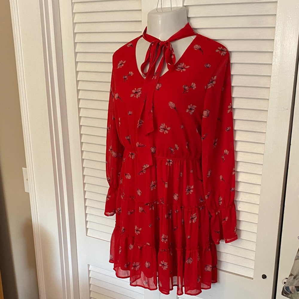 Tiered Scarlet Floral dress sheer ruffle long sleeve
